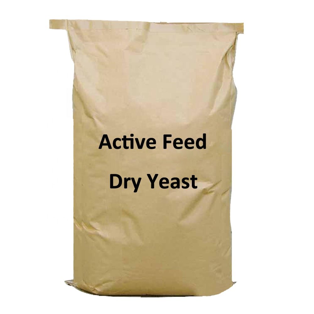 Ale Yeast Dried Brewer Yeast Free Cattle Feed Dry Cool Storage 2 Year for Livestock Feeding Powder Choose Our Animal Feed Yeast