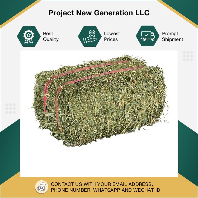 Excellent Quality Hot Selling Bulk Quantity Germany Export Animal Feed Alfalfa Hay or Timothy Pellets for Wholesale Buyers