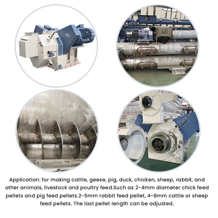 Factory Price Ring Die Pellet Machine Cattle Chicken Poultry Feed Pellet Feed Processing Machine Lines for Animal Feed