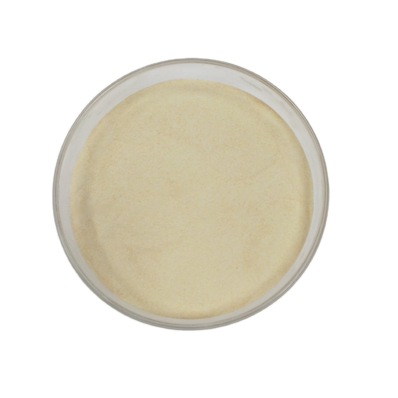 AGP replace solution AFEZYME LYCIN effective to gramnegative and grampositive bacterium