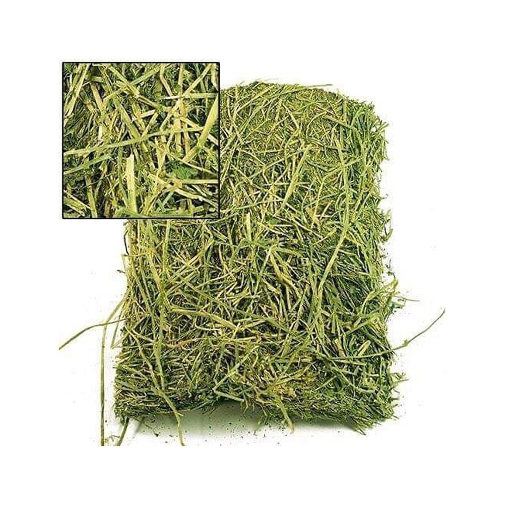 ALFAFA HAY IN BALES, TIMOTHY HAY, AND ALFAFA HAY PELLETS FOR SALE LUCERNE ALFALFA HAYS FOR ANIMAL FEEDING