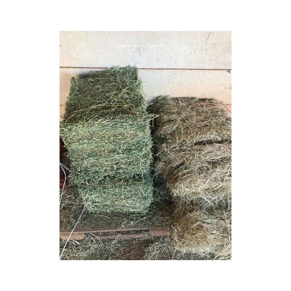 ALFAFA HAY IN BALES, TIMOTHY HAY, AND ALFAFA HAY PELLETS FOR SALE LUCERNE ALFALFA HAYS FOR ANIMAL FEEDING