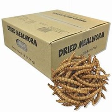 High Nutritive Dried Mealworms for Animal Feed Economically Priced