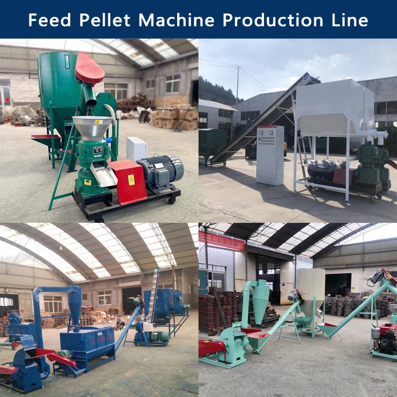 Automatic Small Chicken Feed Making Machine Animal Feed Pellet Machine Animal Food Maker Feed Granulator Machine