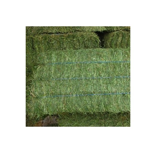 Alfalfa for feeding animals for cattle and other farm animals great quality from manufacturer alfalfa hay for sale