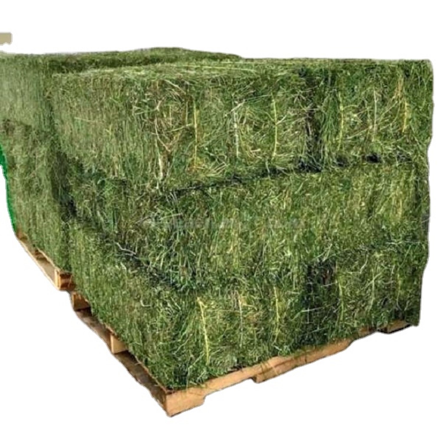 Fresh Green Alfalfa Hay/Hay Alfalfa/Animal Feed Made in Bales of All Sizes