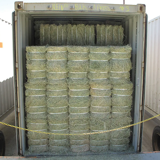 Fresh Green Alfalfa Hay/Hay Alfalfa/Animal Feed Made in Bales of All Sizes