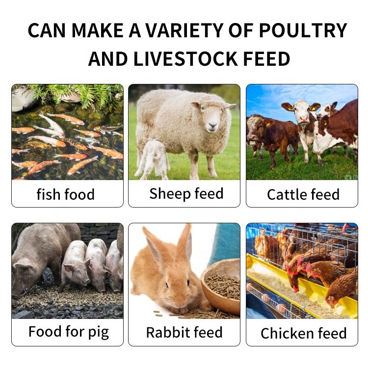 Cheap price feed processing machines animal feed pellet/sheep poultry fish animal feed product
