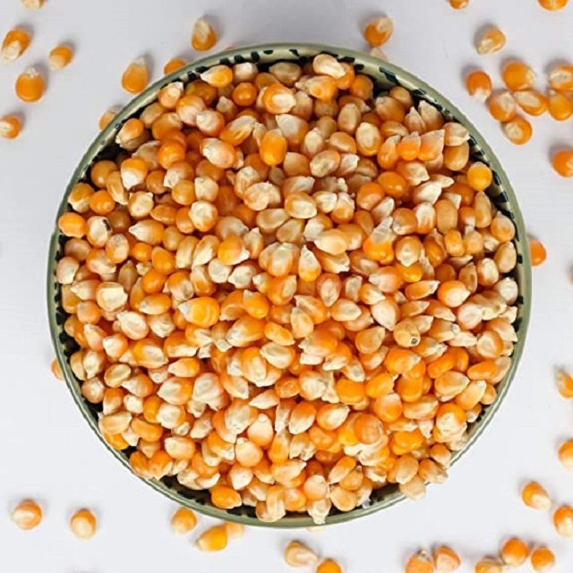 High Quality Yellow Corn Yellow corn/corn for animal feed/yellow corn for poultry feed