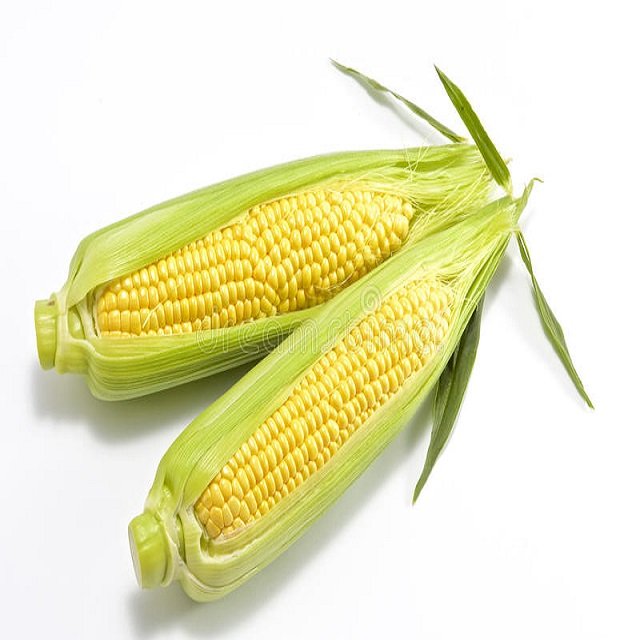 High Quality Yellow Corn Yellow corn/corn for animal feed/yellow corn for poultry feed