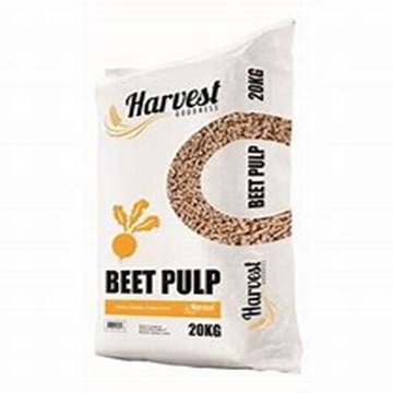 Wholesale Animal Feed Sugar Beet Pulp Pellets Dried Style with High Protein Fish Dogs Pigs Cattle Horses Farm Use Enclosed Bags