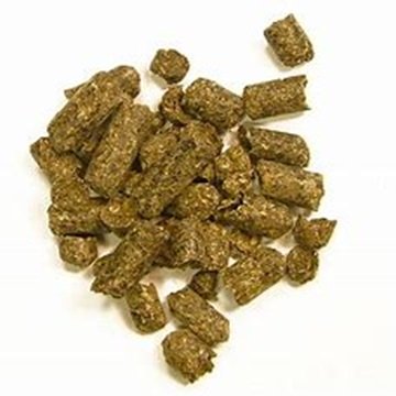 Wholesale Animal Feed Sugar Beet Pulp Pellets Dried Style with High Protein Fish Dogs Pigs Cattle Horses Farm Use Enclosed Bags