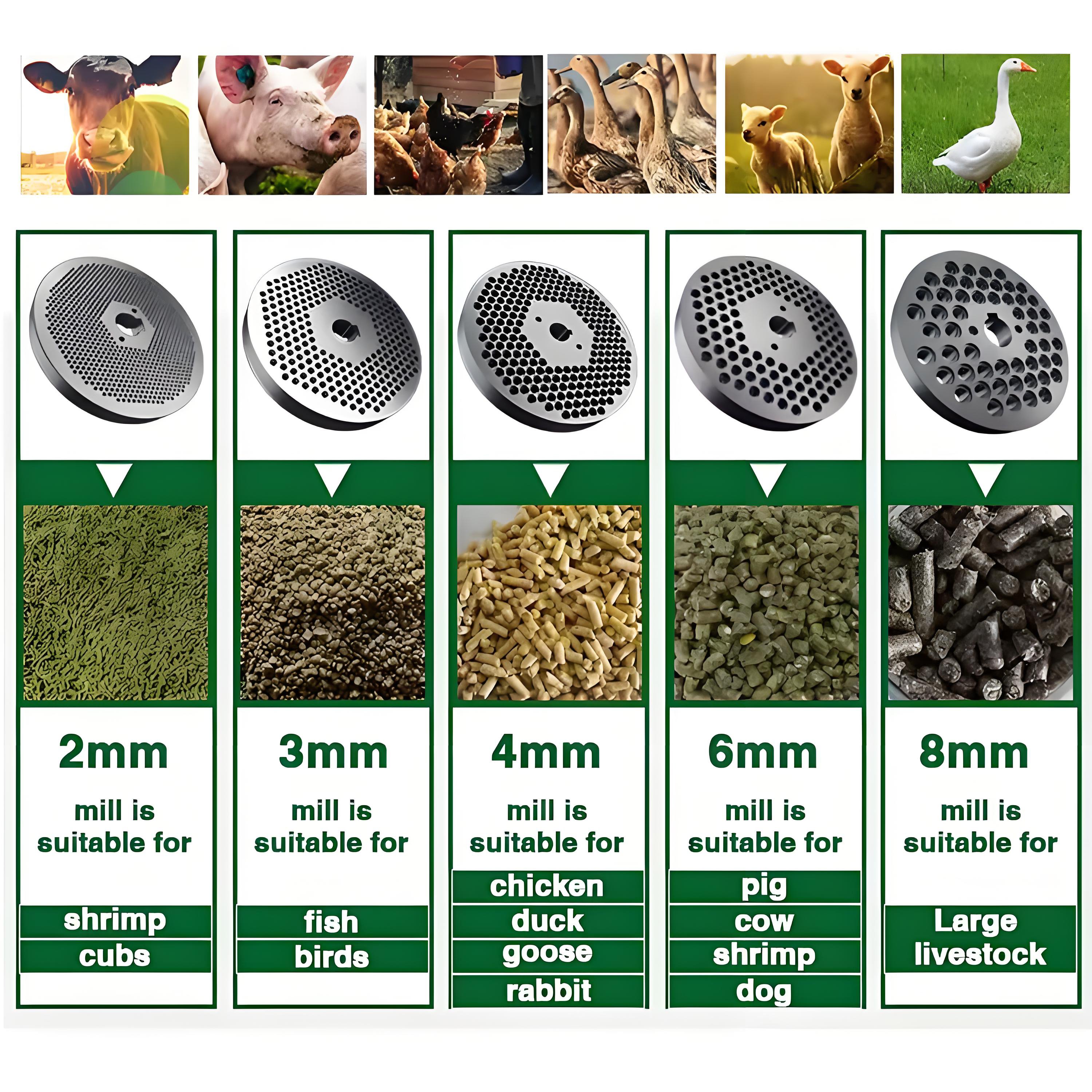 Farm Animal Rabbit chicken fish goose duck quail pig pigeon dog Chicken Fish Bird animal feed pellet mill