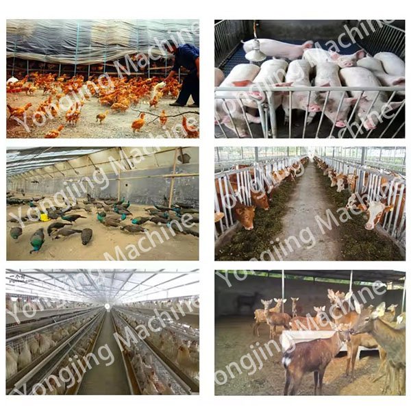 New Popular Electric Animal Feed Processing Machine 125 150 210 260 300 Model Flat Die Machine Granulator For Animal Feed