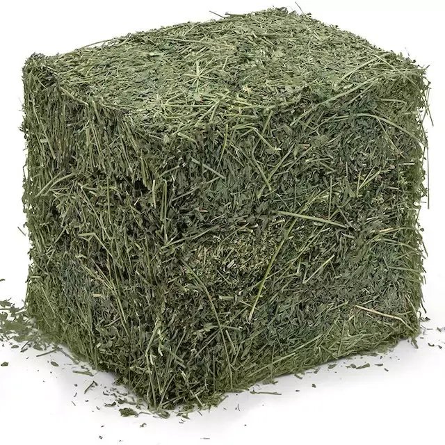 Best Timothy Alfalfa Hay for Animals Hot Selling Fish Pellet Cheap Price Animal Feed Wholesale