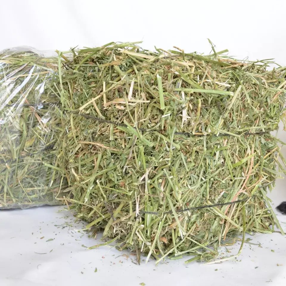 Best Timothy Alfalfa Hay for Animals Hot Selling Fish Pellet Cheap Price Animal Feed Wholesale