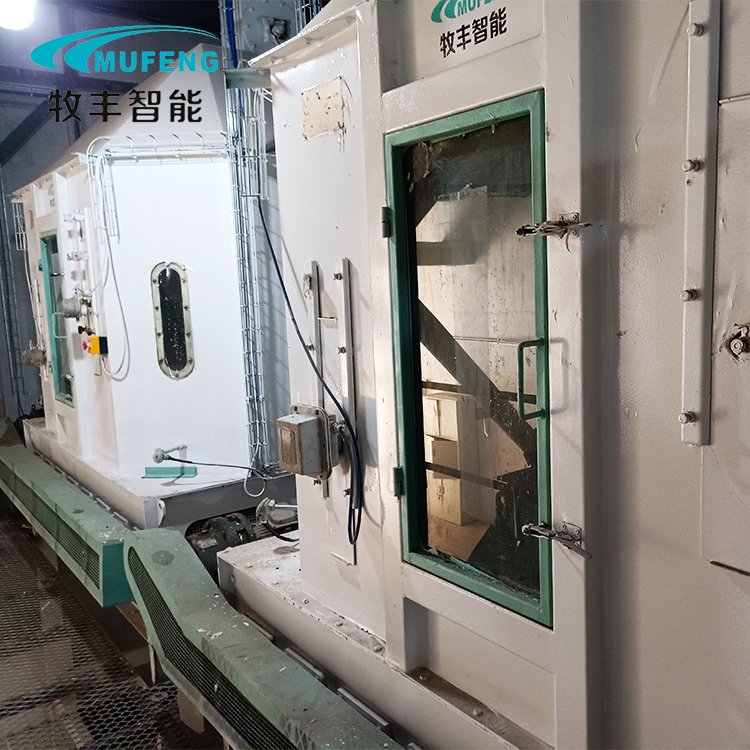 Animal Feed Pellet Cooling machine