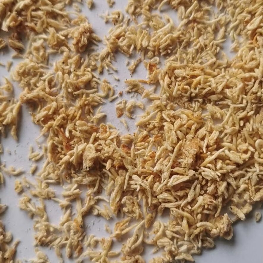 Support customized high-nutrient and high-protein Freeze Dried Mysis for fish & turtle