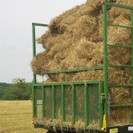 Animal Feed High Quality Animal Feed Alfalfa Hay From South Africa