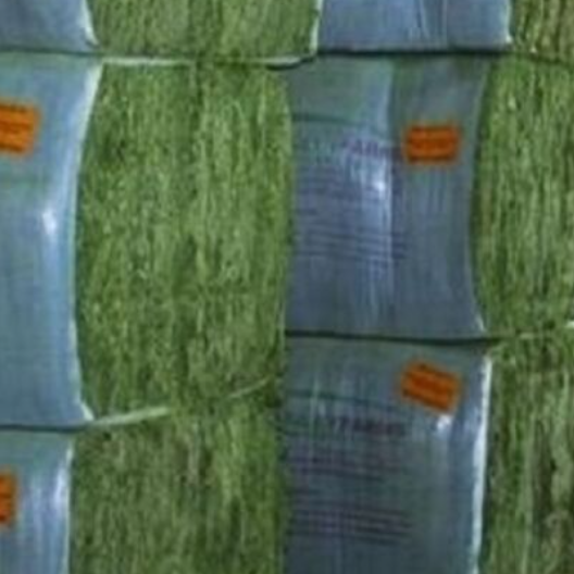 Animal Feed High Quality Animal Feed Alfalfa Hay From South Africa