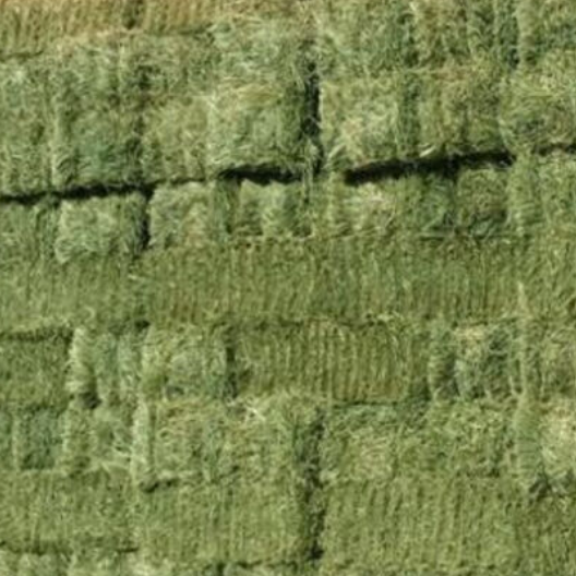 Animal Feed High Quality Animal Feed Alfalfa Hay From South Africa