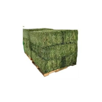 Buy Alfalfa Hay for animal feed Price China Direct From Alfalfa Hay Price Factories Buy alfalfa hay compressed Price Ukraine