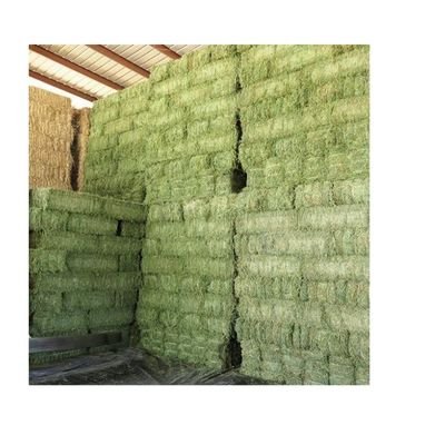 Buy Alfalfa Hay for animal feed Price China Direct From Alfalfa Hay Price Factories Buy alfalfa hay compressed Price Ukraine