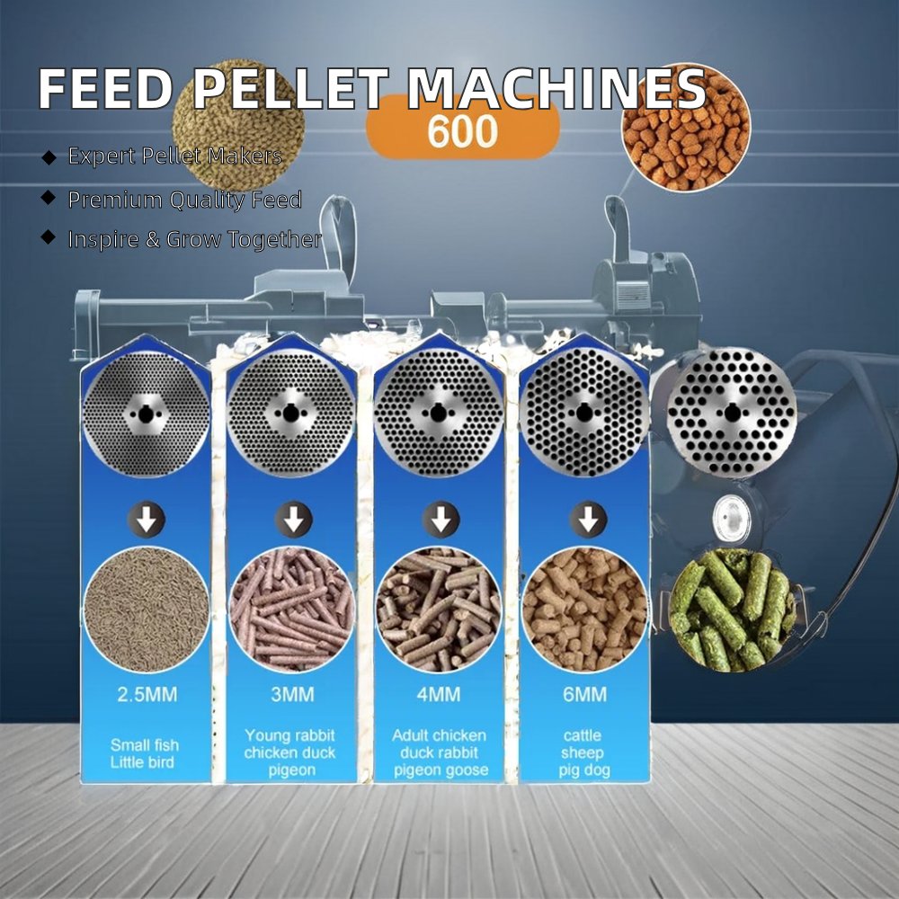 Full Automatic animal feed poultry chicken fish pelet machine animal feed pellet 200 kg/h