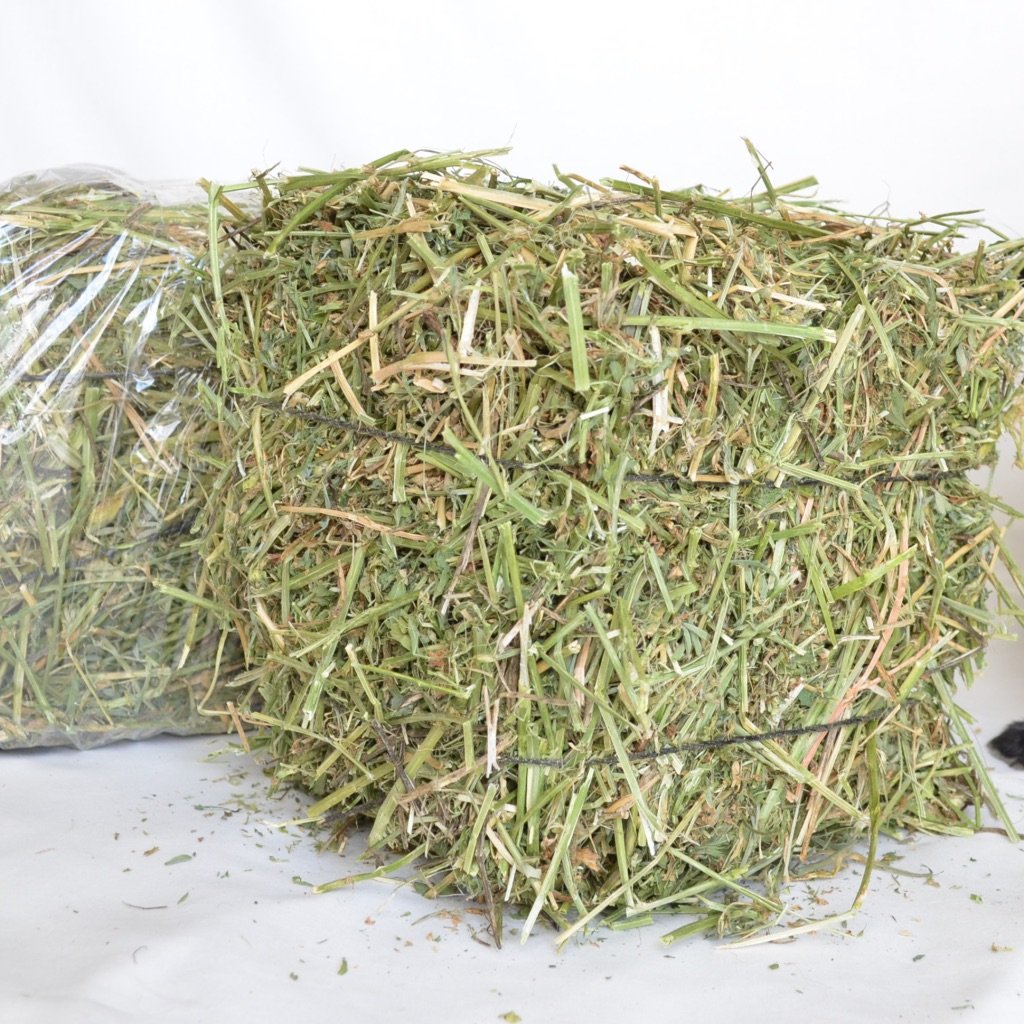 Top Grade Alfalfa For Animal Feed / Alfalfa Hay In Bulk