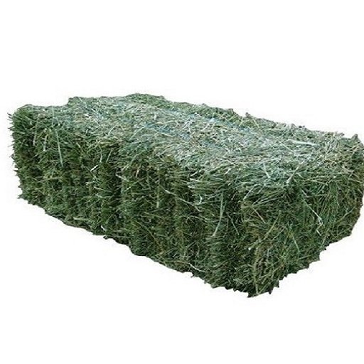 Top Grade Alfalfa For Animal Feed / Alfalfa Hay In Bulk