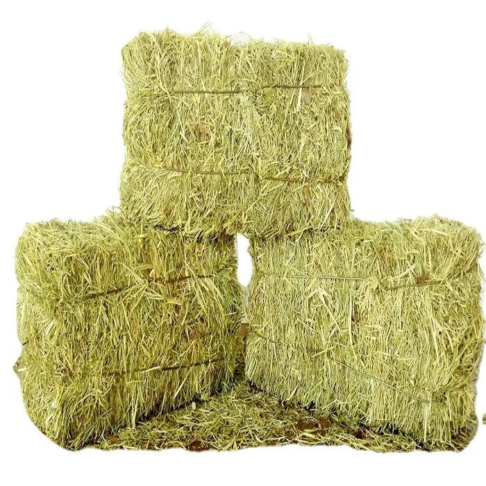 Cheap manufacture Alfafa Hay For Animal Feed Alfalfa