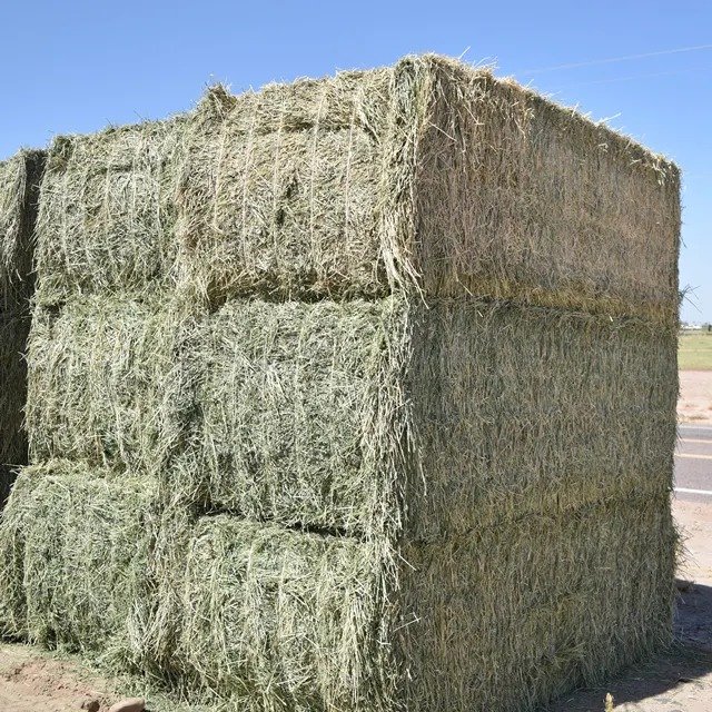 Cheap manufacture Alfafa Hay For Animal Feed Alfalfa