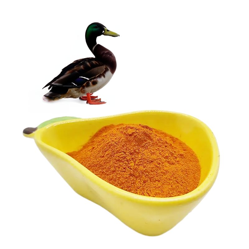 Turmeric Root Supplement Curcumin Extract Powder Feed Grade 5%-10% Curcumin