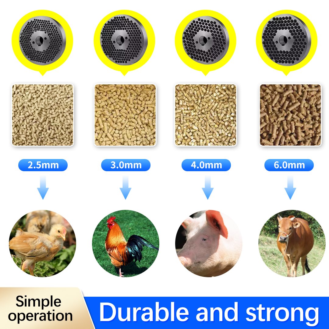 AGRIESO Simple Small Chicken Feed Pellet Production Line Hot Sale Small Pet Animal Feed Pellet Line Production