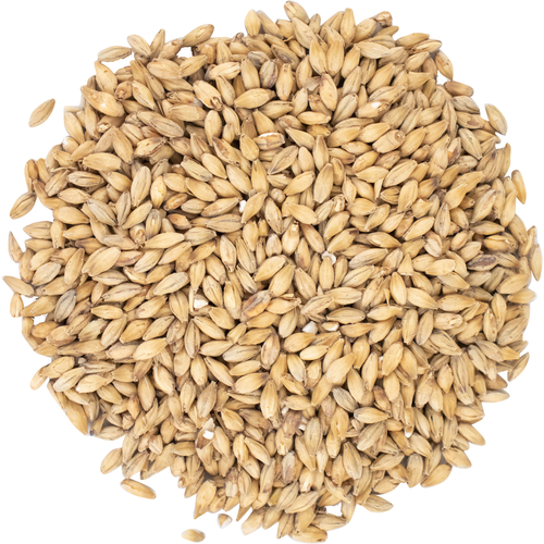 Barley Animal Feed Best Cattle Feed For Export