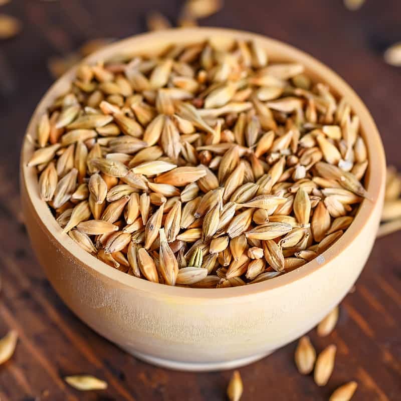 Barley Animal Feed Best Cattle Feed For Export