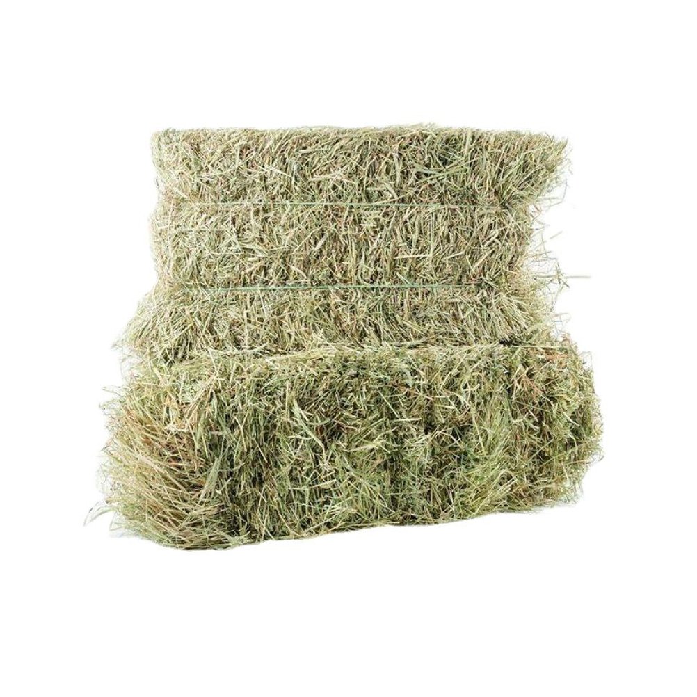 High Quality Alfalfa Hay For Animal Feed Lucerne Straw Rhodes Grass Animal Feed