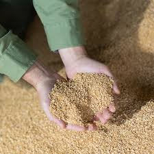 BEST PRODUCT FOR ANIMAL FEED FROM VIETNAM WITH COMPETITIVE PRICE AND HIGH QUALITY