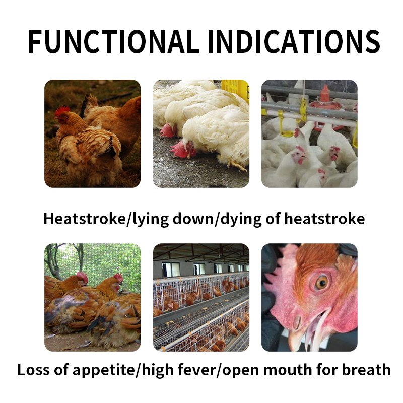 Chicken medicine summer heat relief poultry feed additives vitamin premix