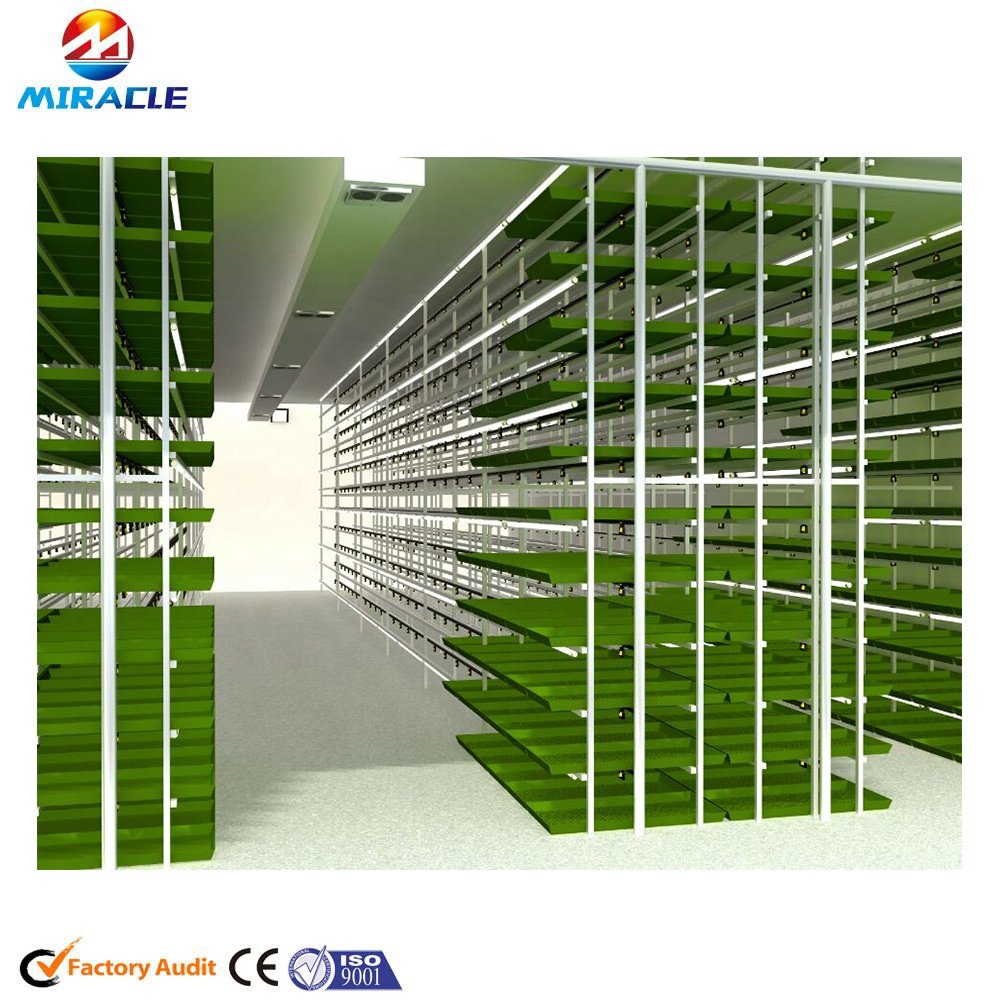40' Refrigerator Container Hydroponic Seeds Sprouting Machine, Green Fodder Plant Growing Room for Farm Poultry Feed