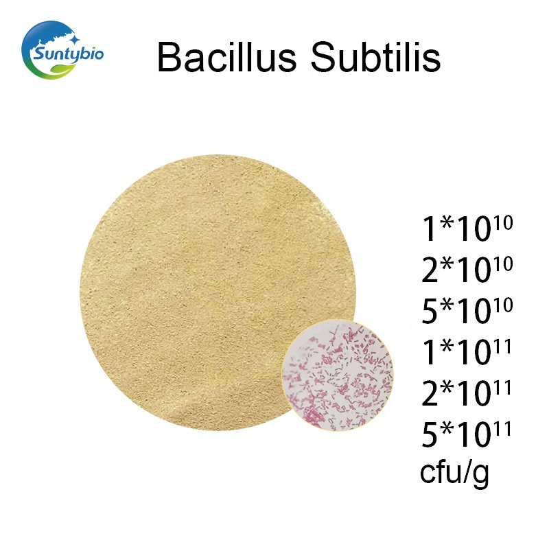 Microorganism Fertilizer Bacillus Subtilis For Soil Improvement Natural Feed Animal Feed addition aquaculture feed