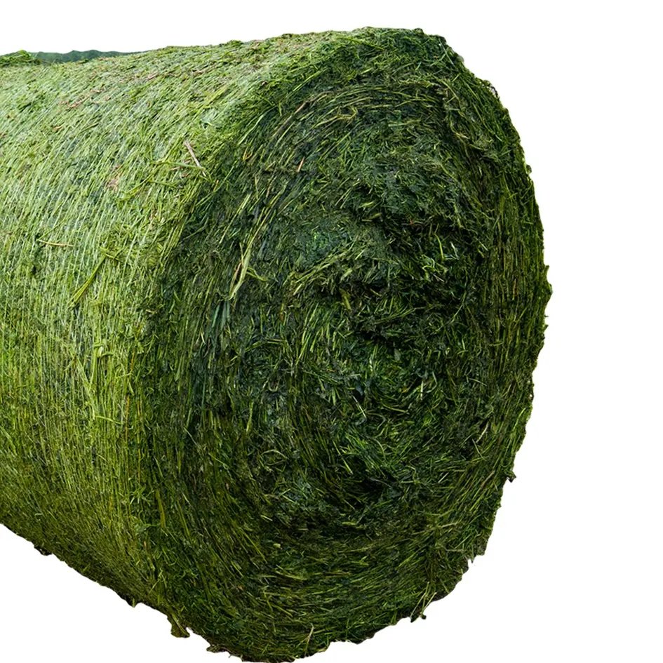 Super Quality Premium Grade Alfalfa Hay Best Prices Animal Feed Pakistan Fish Food Dog Cattle Horse Rhodes Grass Dried Pellet