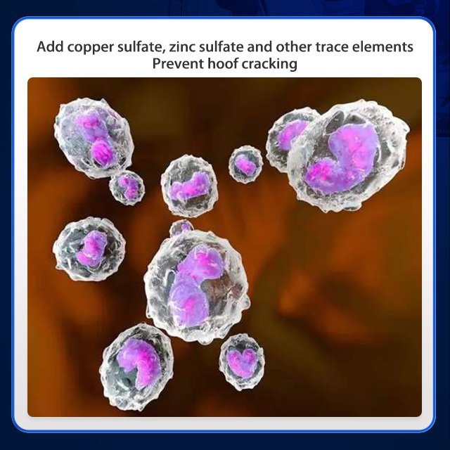 4% Premix feed for fattening beef cattle and sheep Livestock Fatten Premix for Cow/Goat