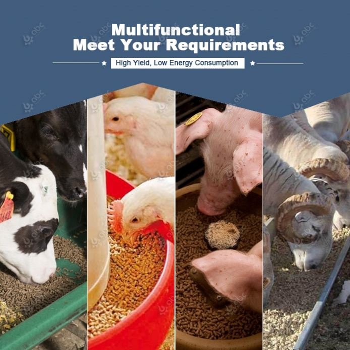 High Capacity Turnkey Poultry Cattle Animal Feed Plant for Processing Manufacturing Grass Chicken,Broiler,Livestock Fodder