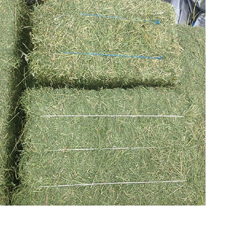 High Quality Premium Alfalfa Hay Dried Timothy Hay for Animal Feed Low Price Cattle and Horse Food Pig Food and Pig Feed