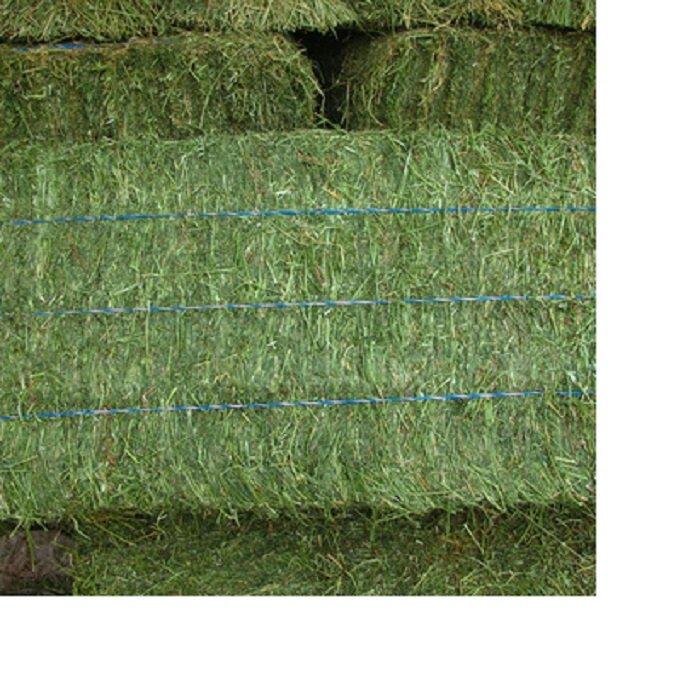 High Quality Premium Alfalfa Hay Dried Timothy Hay for Animal Feed Low Price Cattle and Horse Food Pig Food and Pig Feed