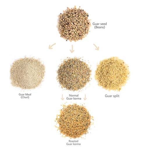 New Animal Feed Feed Premium Growth Fast Corn Gluten Meal Roasted High Protein Guar Korma Wholesale Price