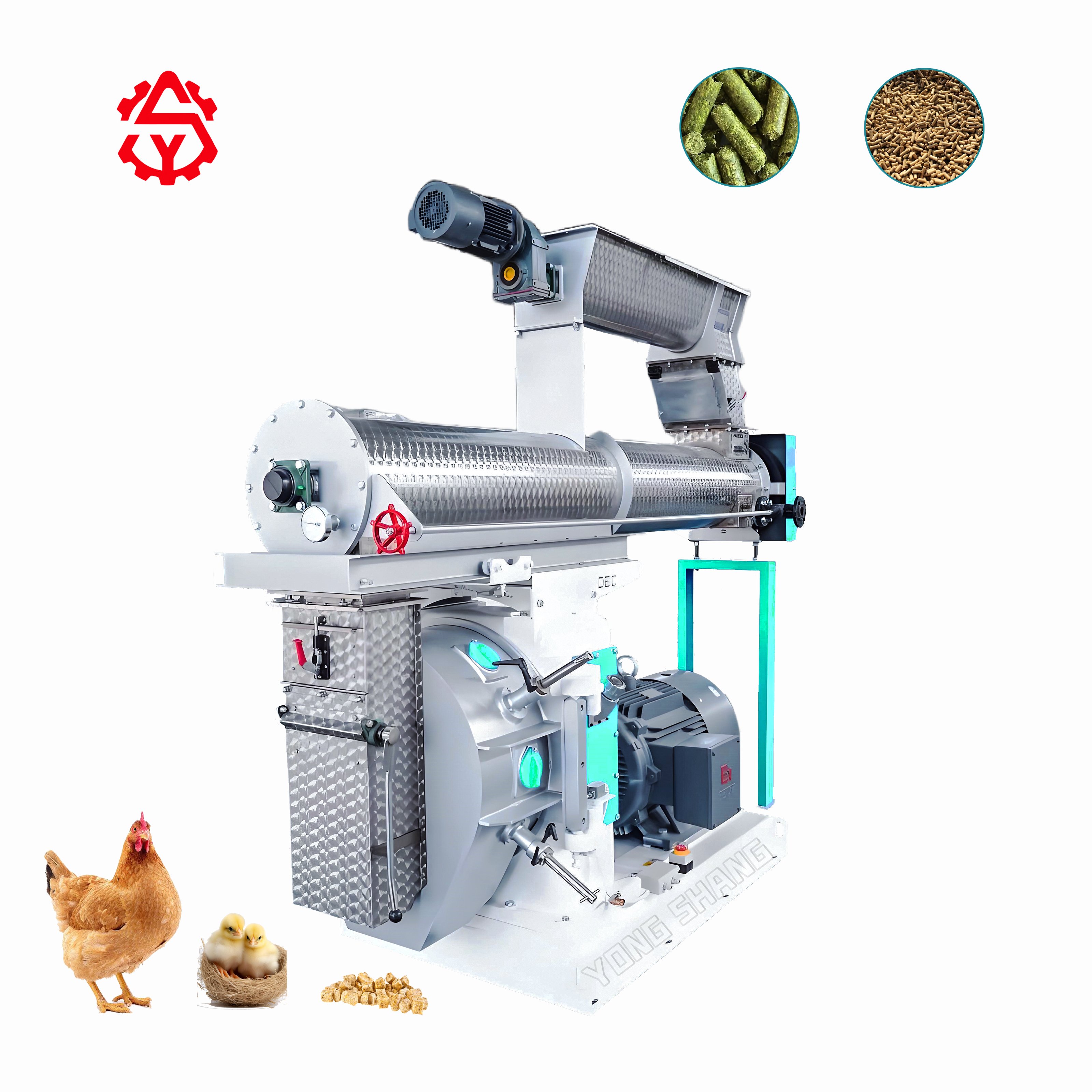 Factory Direct Sales Low Cost Cow Duck Broiler Feed Pelletizer Machine Pellet Equipment For Animal Feed Pellet Making Machine