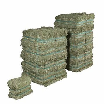 Fresh Barley Straw Bales for Animal Feed Supplement at Wholesale Price
