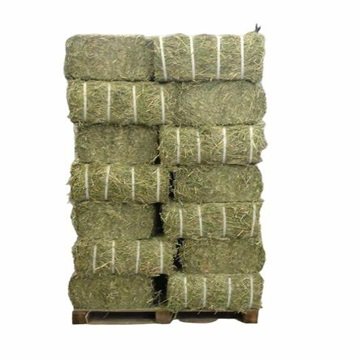 Fresh Barley Straw Bales for Animal Feed Supplement at Wholesale Price